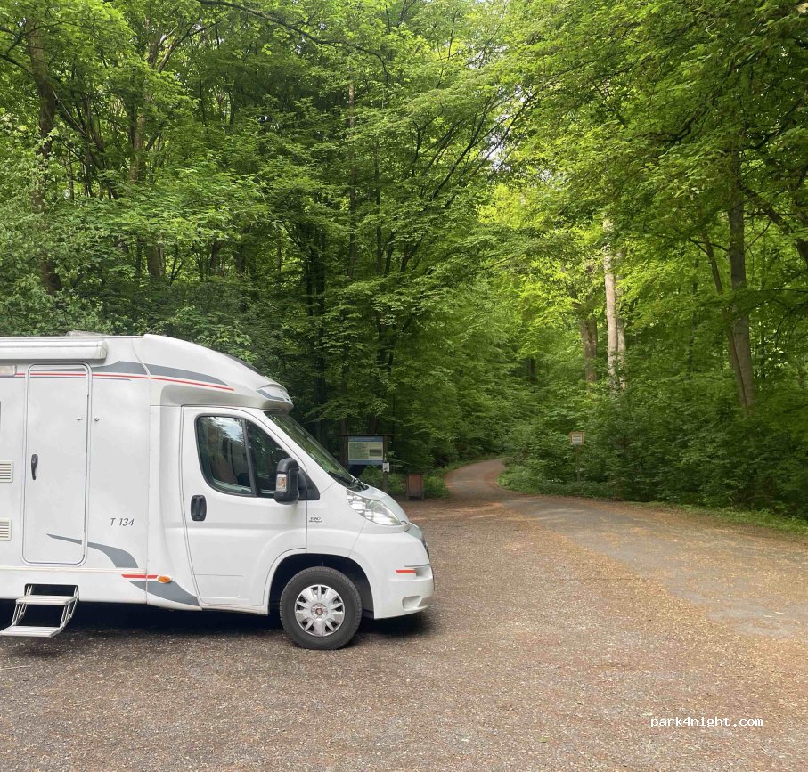 (34128) Kassel - Rasenallee — foto