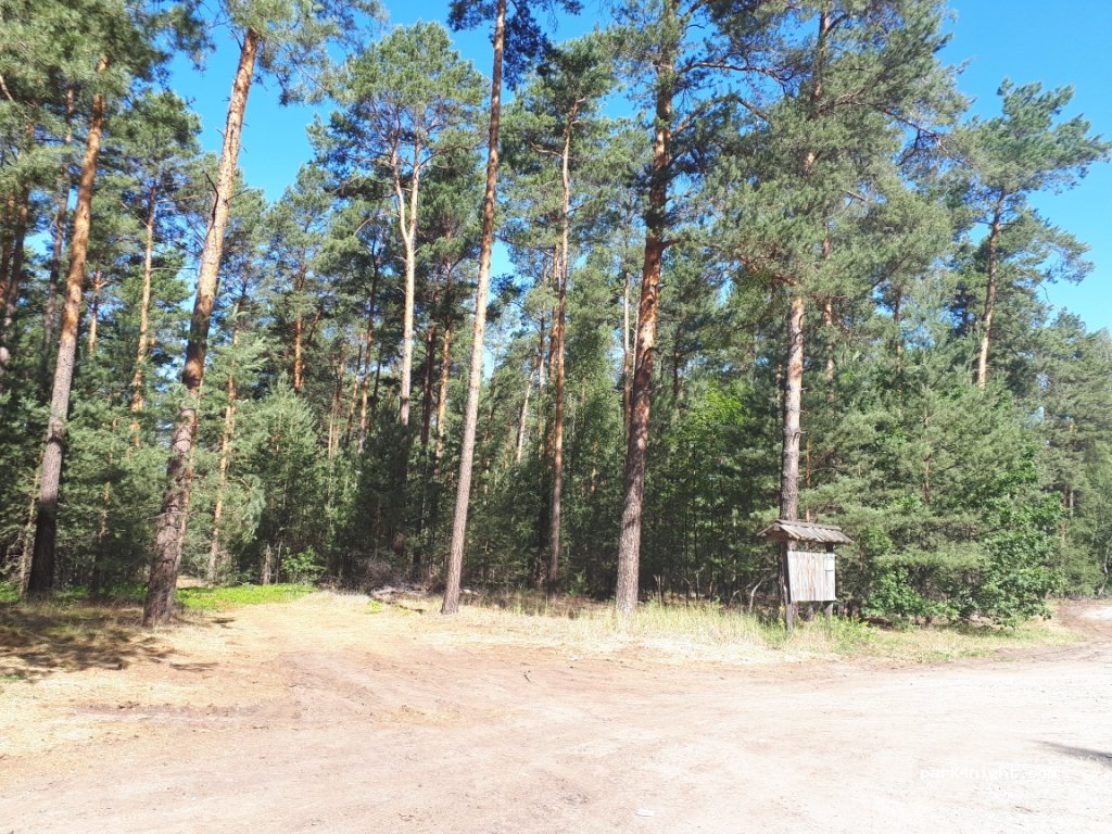 (15757) Halbe - L74 — foto