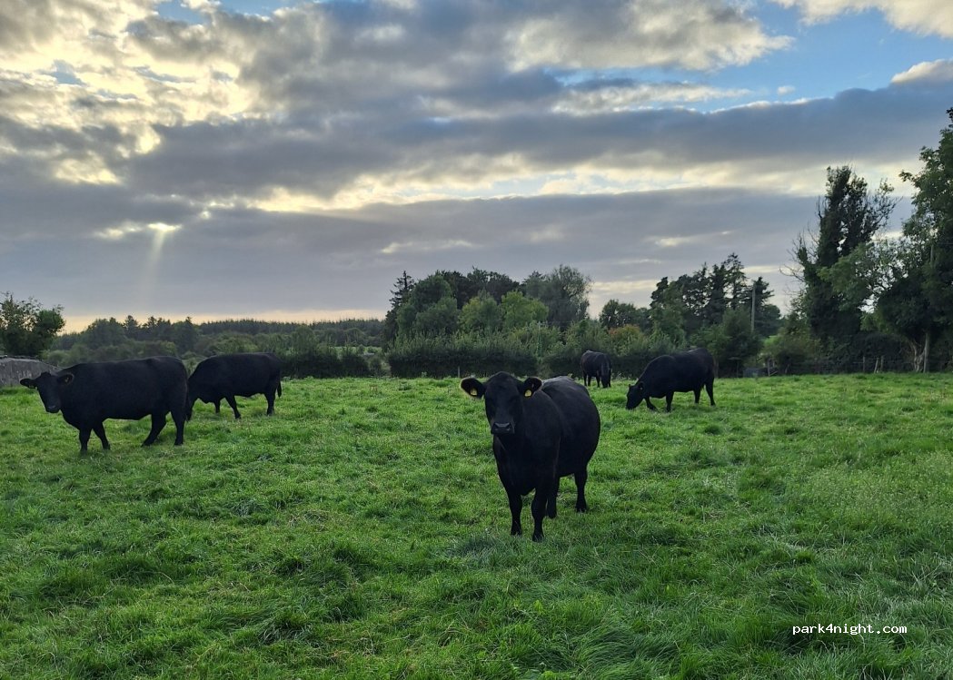 () Loughrea - Unnamed Road — foto 4