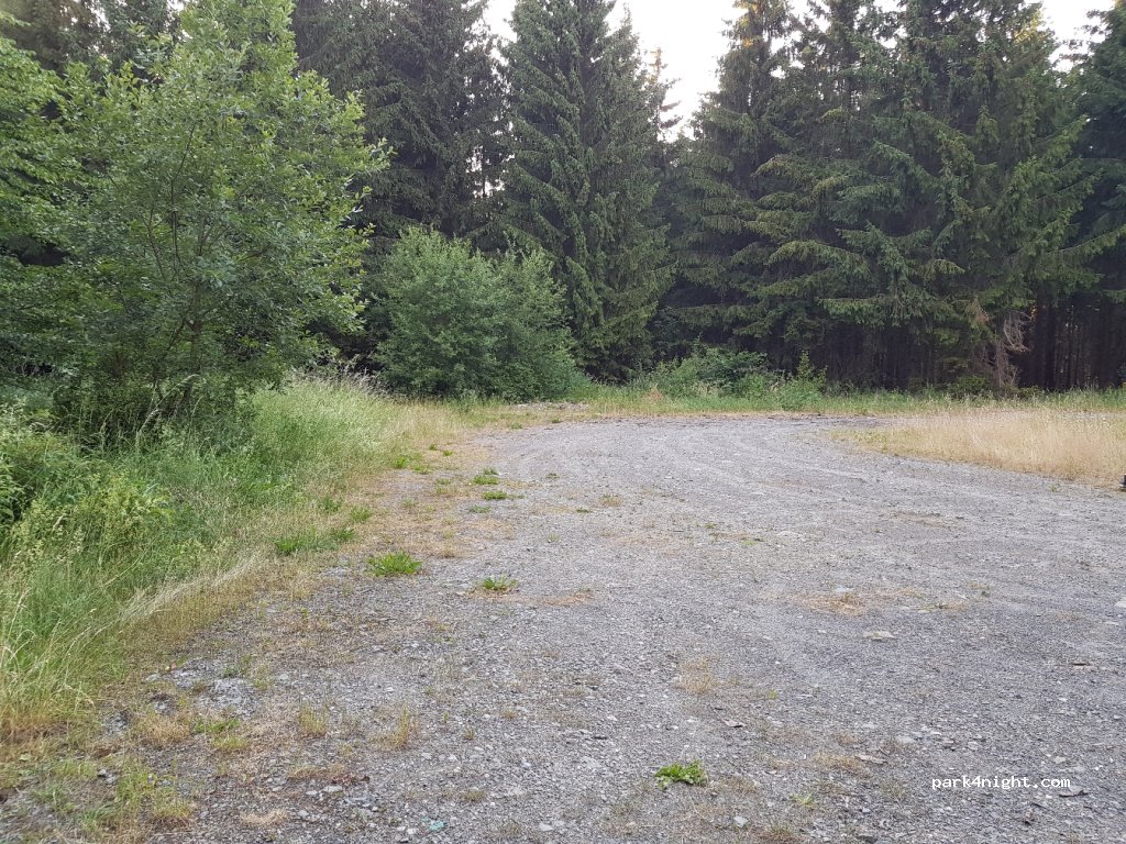 (38889) Elbingerode (Harz) - L96 — foto 2
