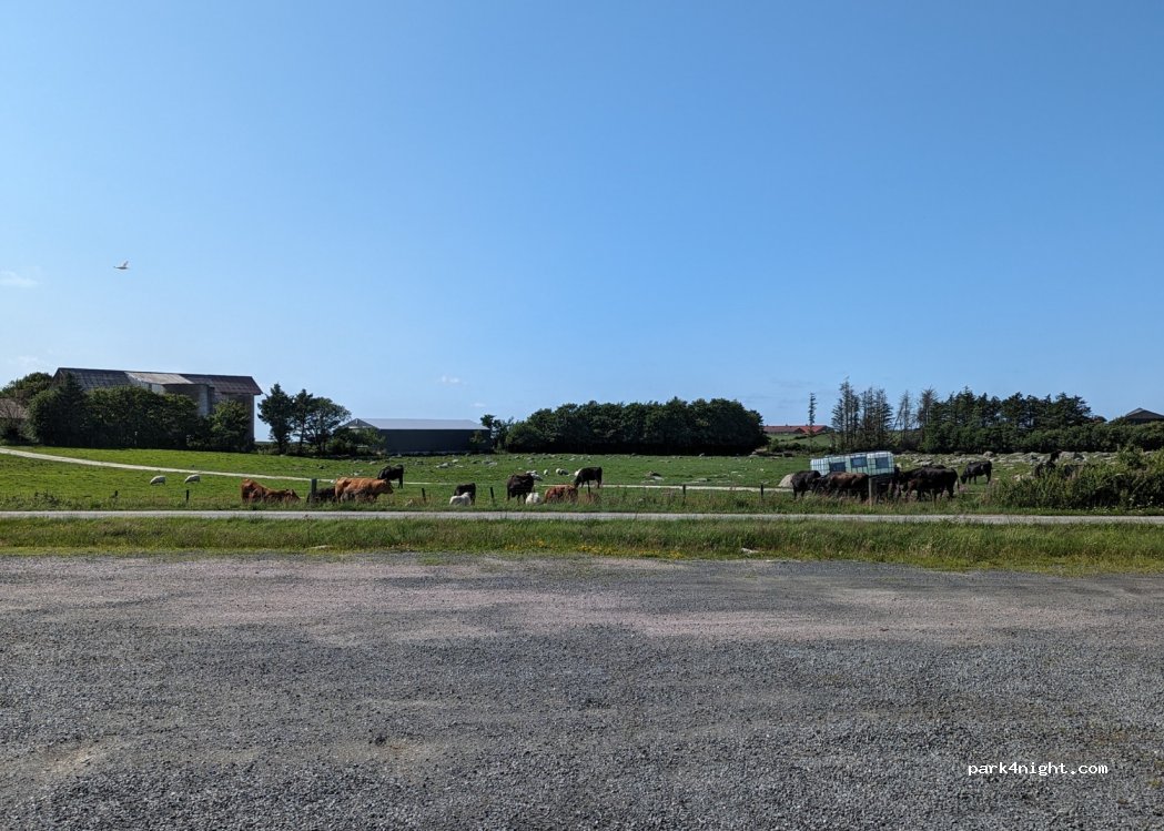 (4365) Nærbø - 11 Grødaland — foto 2
