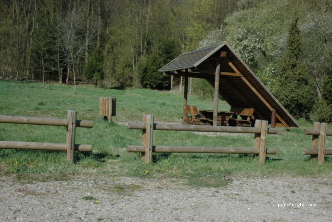 (66-450) Bogdaniec - 30 Leśna — foto