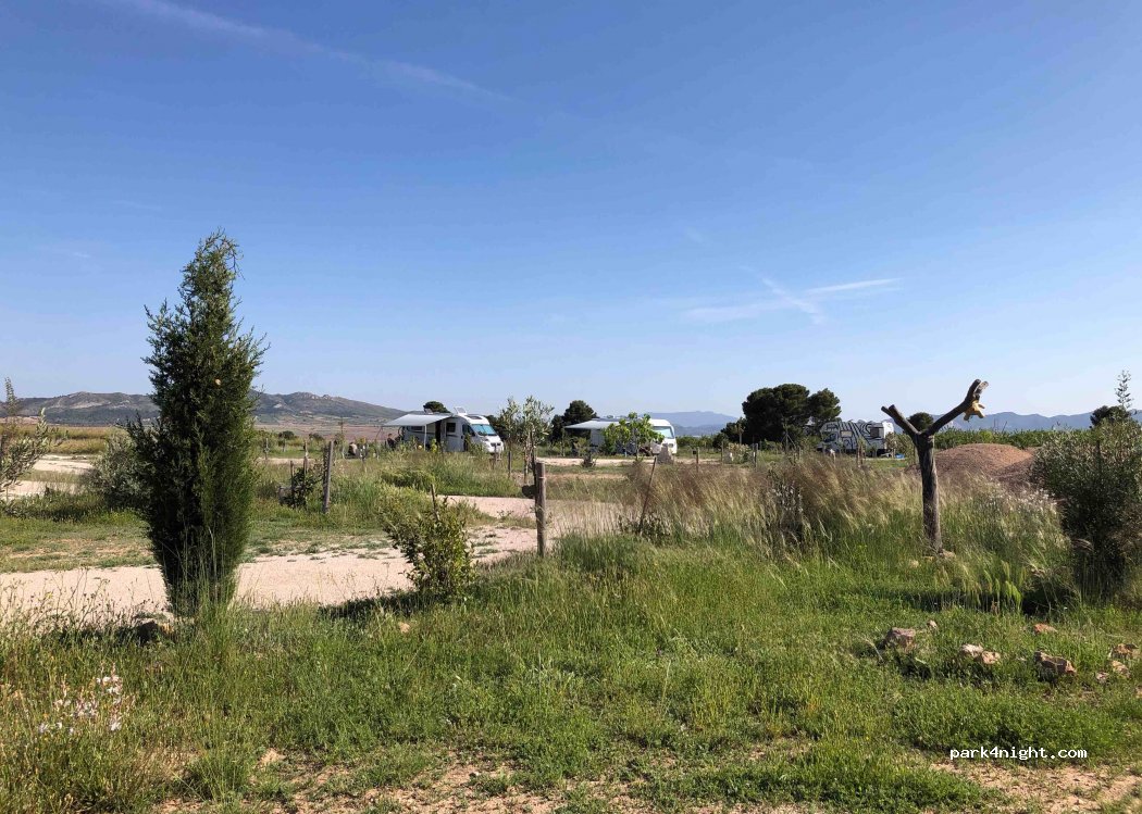 (30510) Yecla - Paraje Fuente del Pinar, A-14 — foto