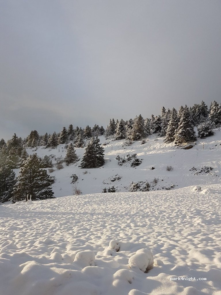 (84410) Bédoin - D974 — foto 3