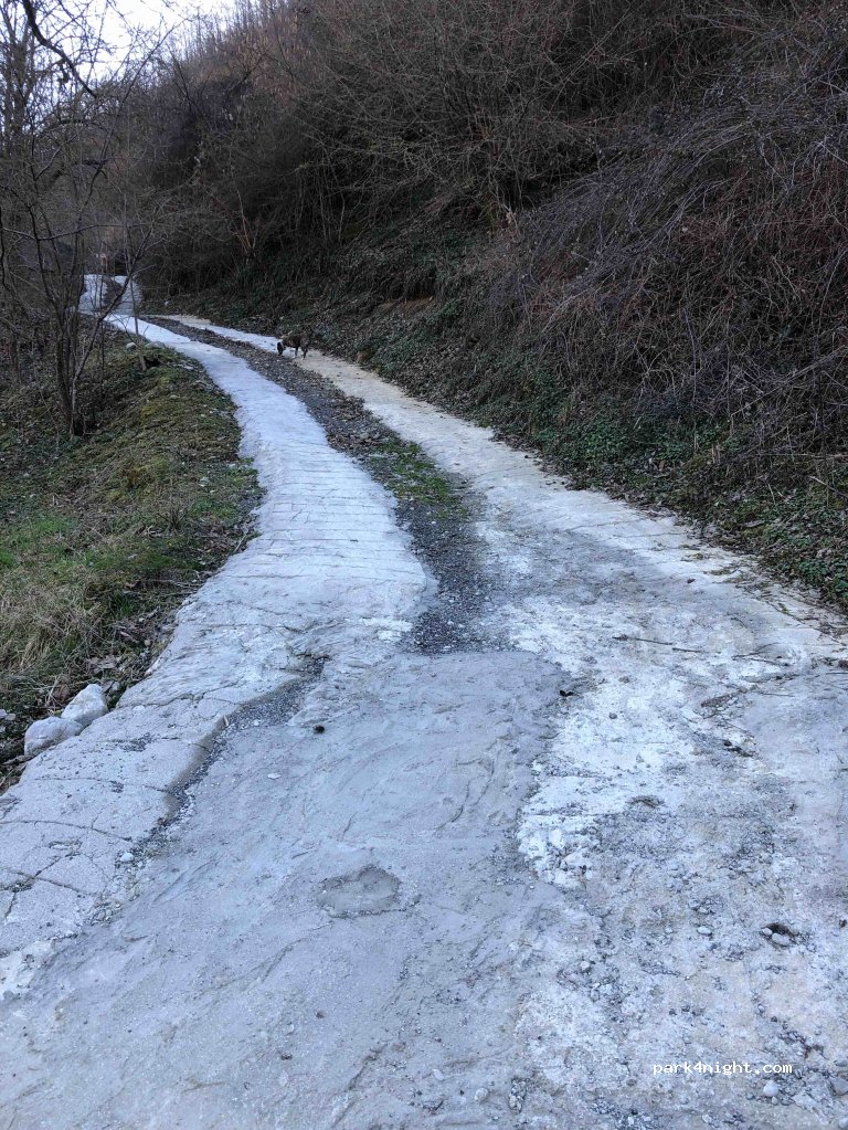 Kamp Wesko — foto 2