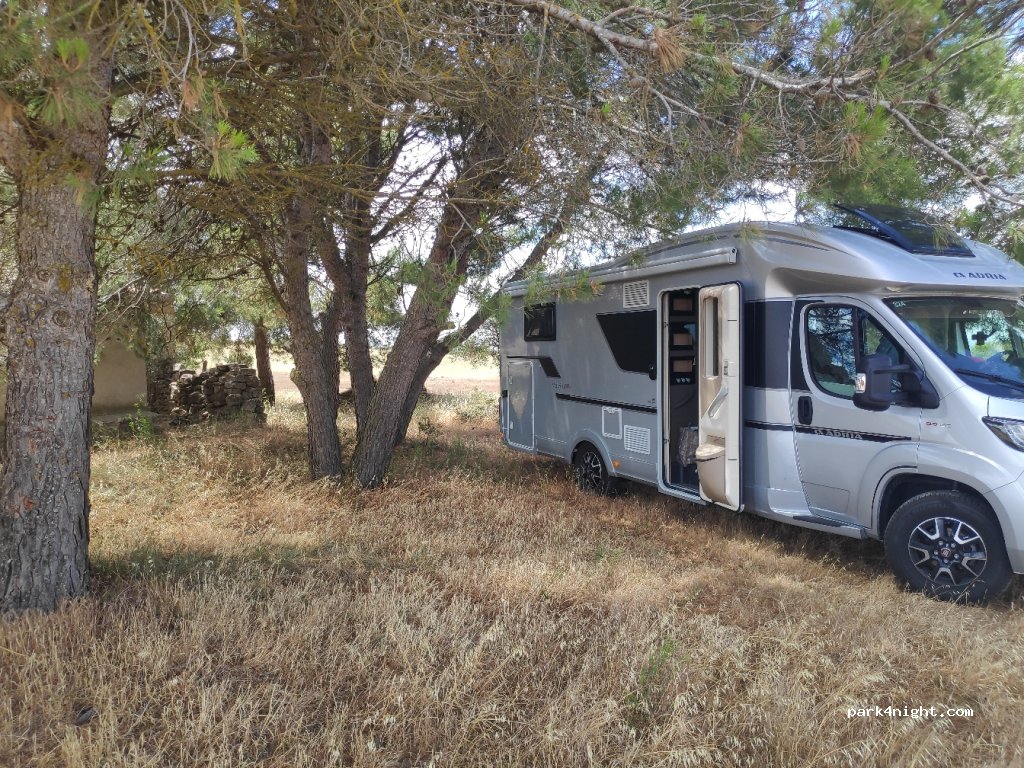 (25341) Ciutadilla - 53 C-14 — foto 2