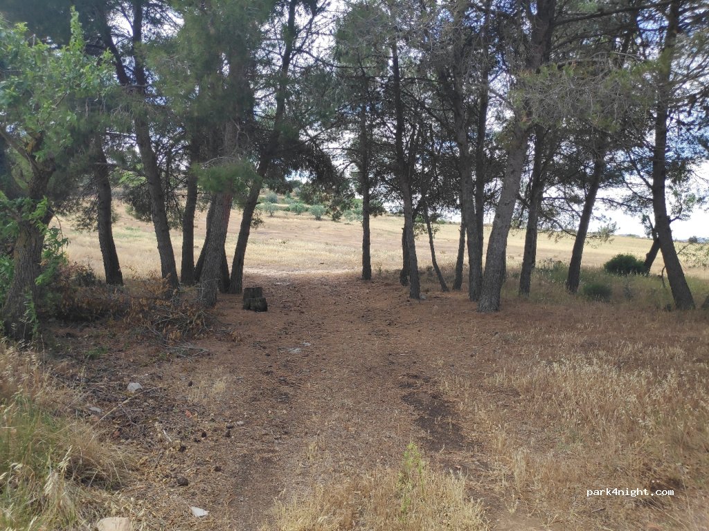 (25341) Ciutadilla - 53 C-14 — foto 3