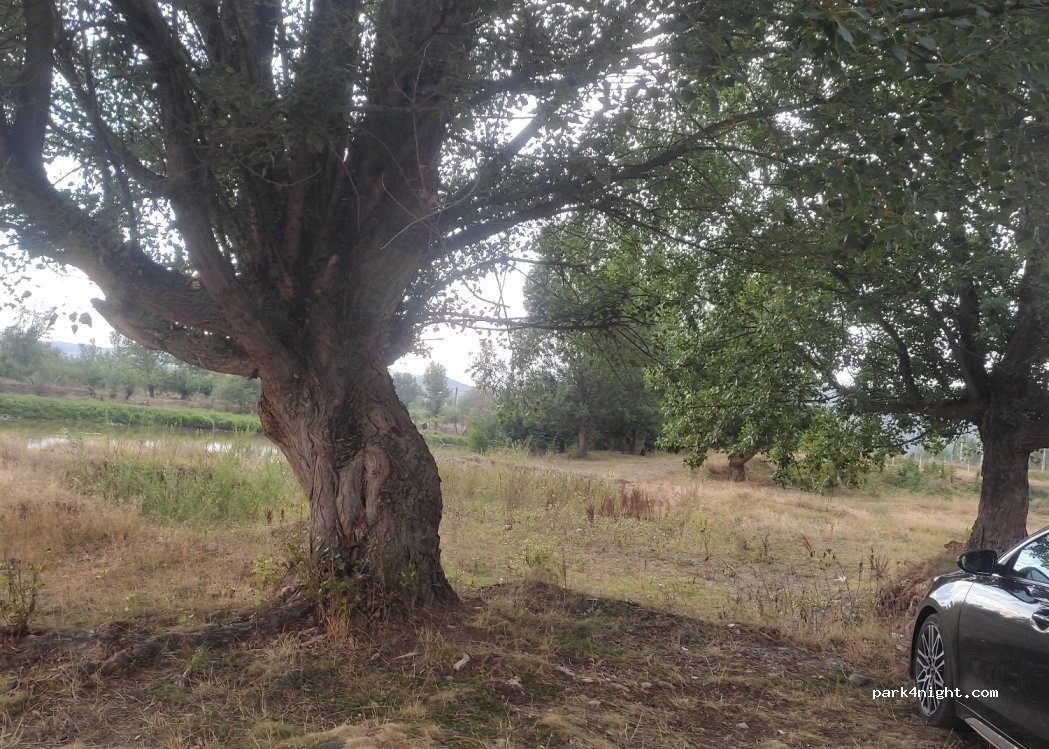 (407407) Cheia - Unnamed Road — foto 4