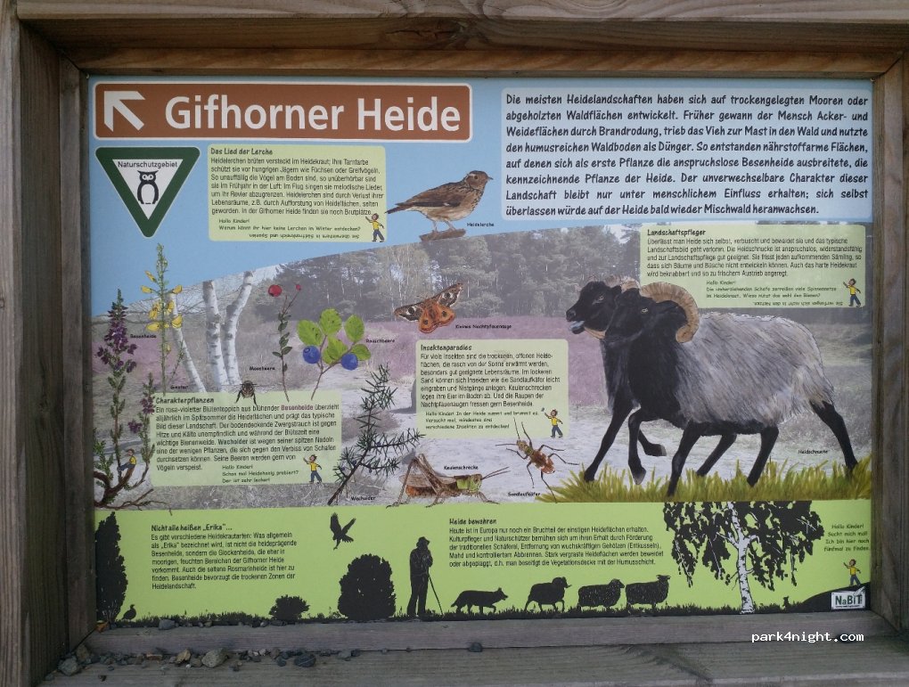 (38518) Gifhorn - 23 Kellerberg — foto