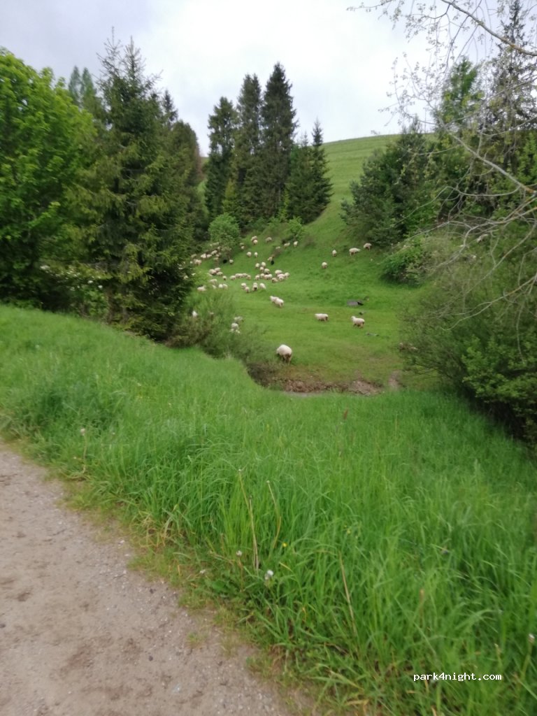 (34-460) Jaworki - 14 Zaskalskie — foto