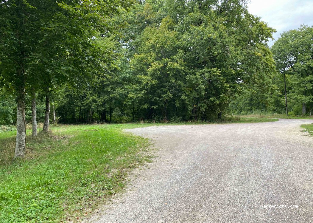 (10200) Bligny - 122 Forêt de Bossican — foto 4