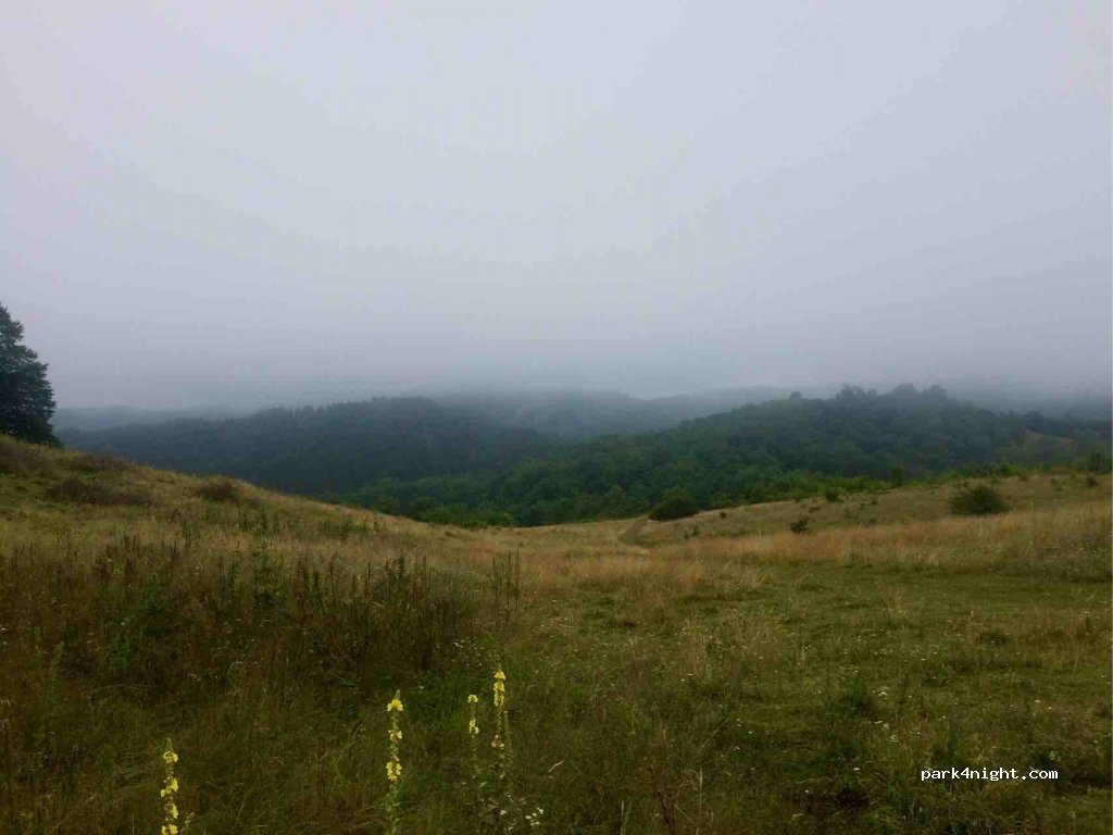 (547057) Bahnea - DJ151B — foto 2