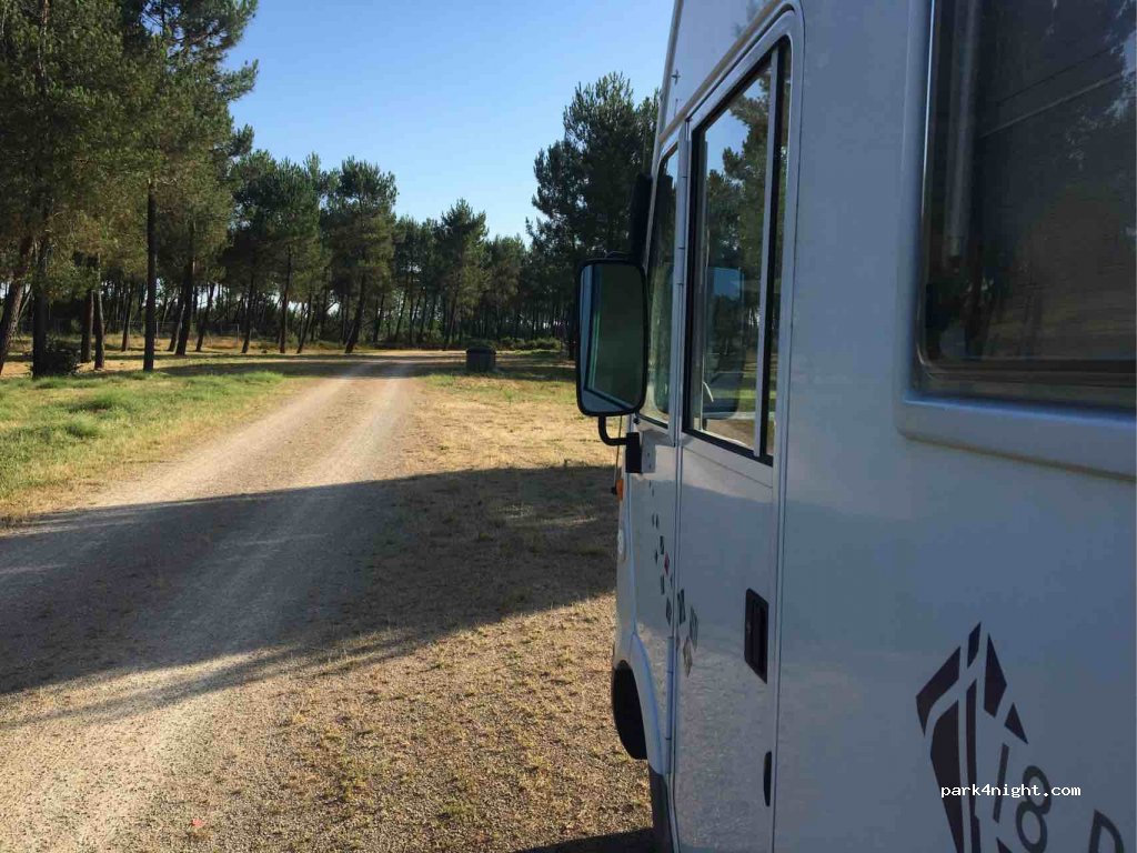 (40110) Onesse-Laharie - Route des Estuaires — foto