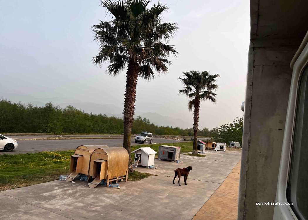 () Batumi - Unnamed Road — foto 2