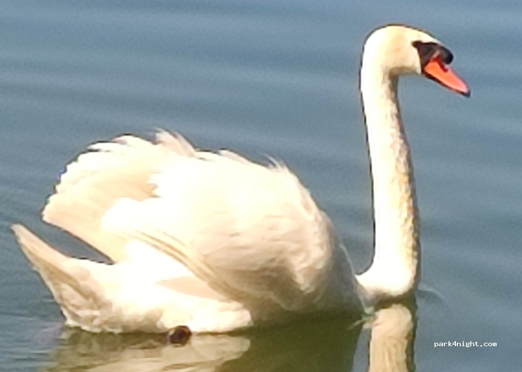 Pole namiotowe — foto 4