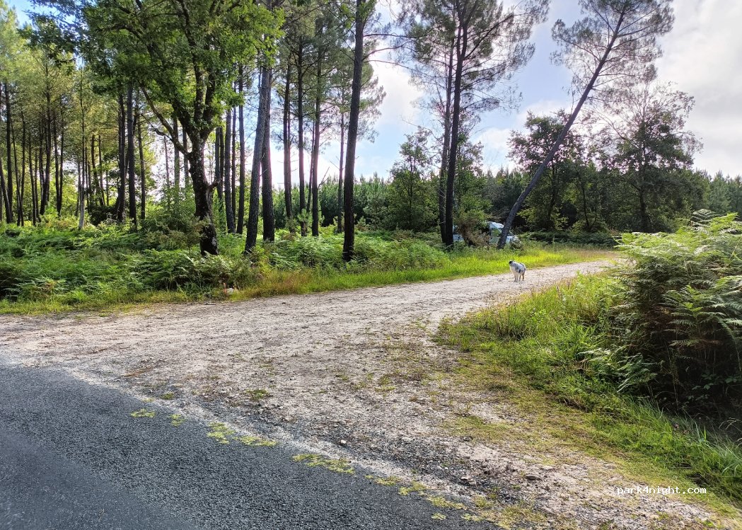 (33730) Préchac - Bos d'Aoues — foto 2