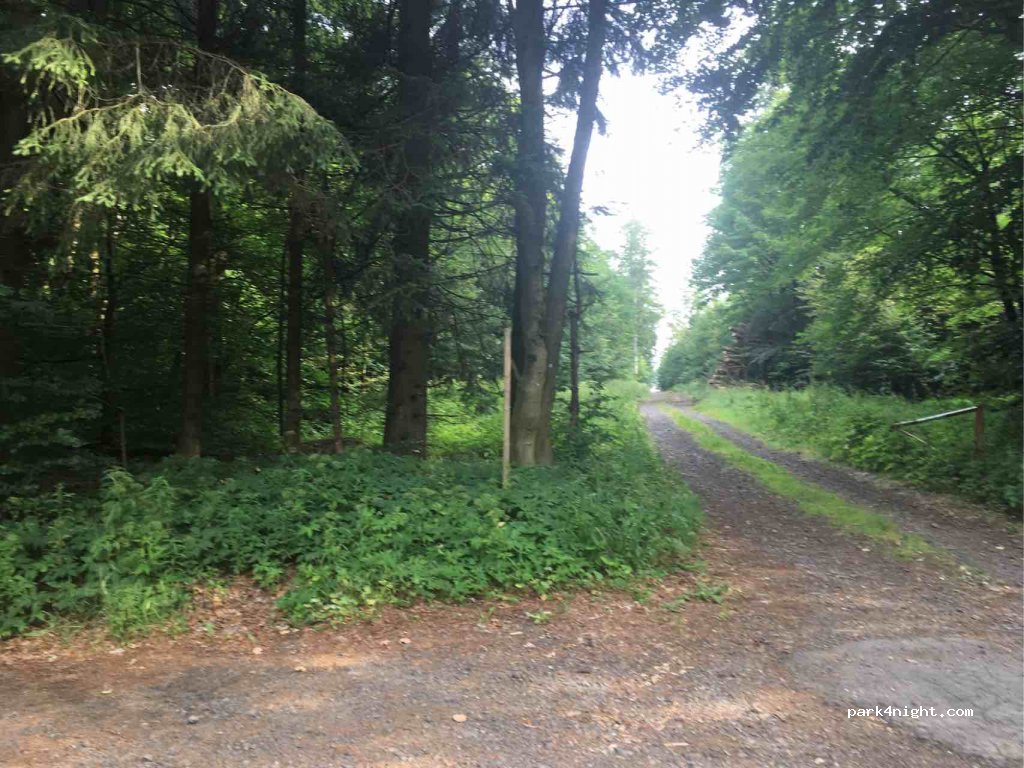 (63679) Schotten - L3305 — foto 4