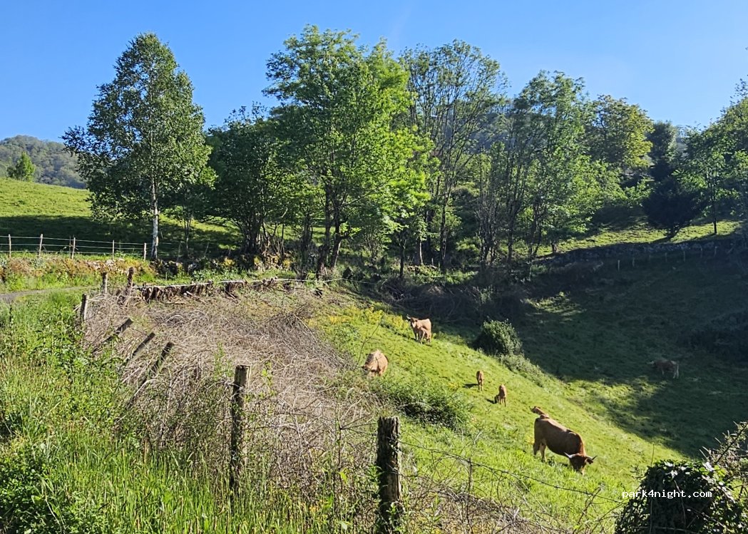 (33589) Cangas de Onís - Carretera de Torio — foto 5
