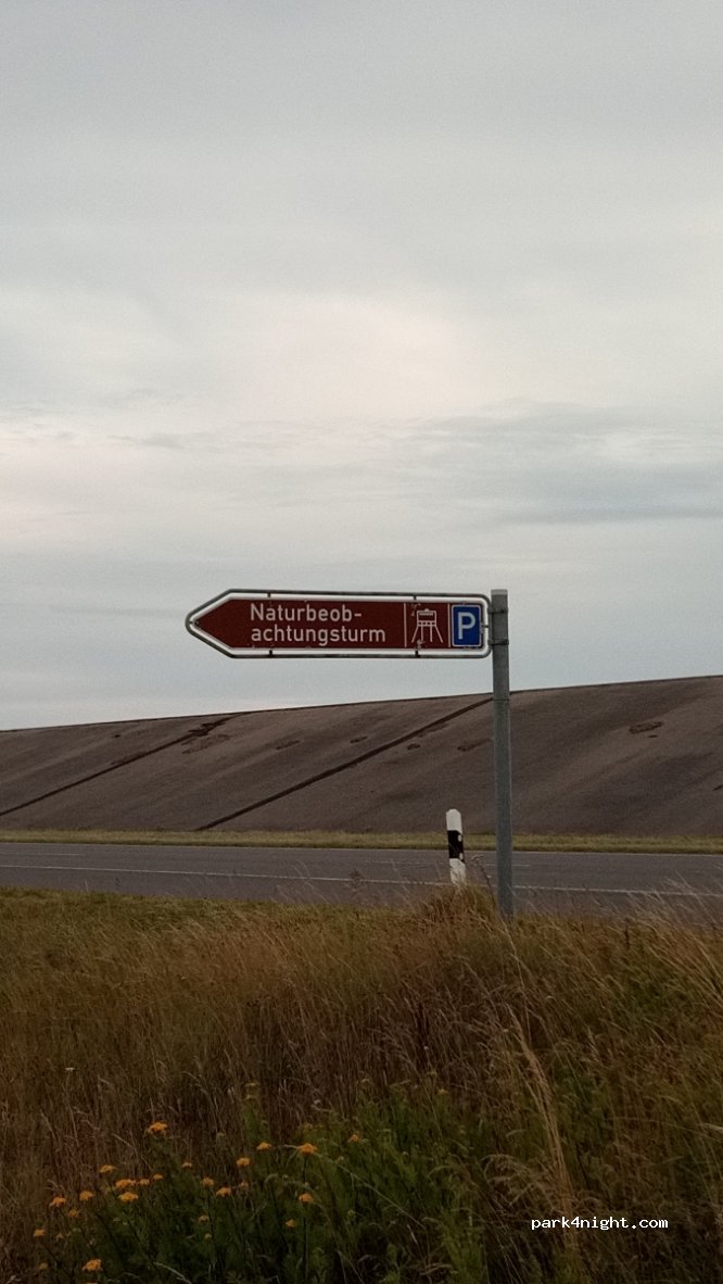 (25832) Tönning - L305 — foto 2