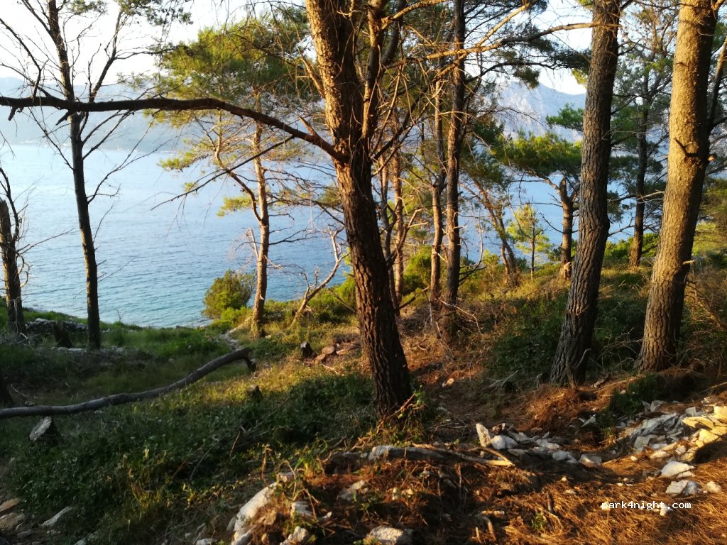 (21469) Sućuraj - D116 — foto 2