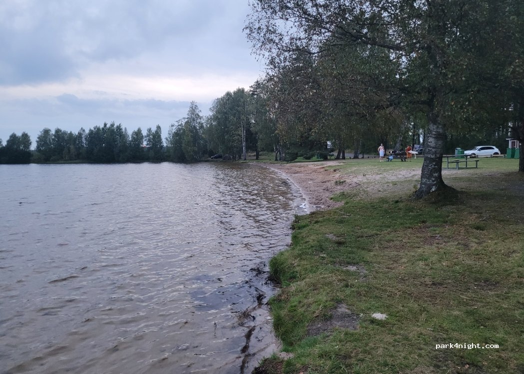 (555 94)  - 50 HEDENSTORP — foto 4
