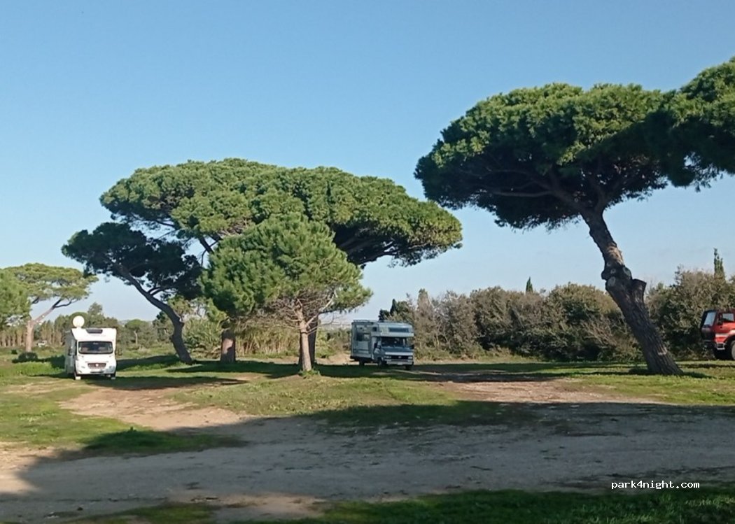 (01016) Lido di Tarquinia - 9 Via Filippo Giorgi — foto 5