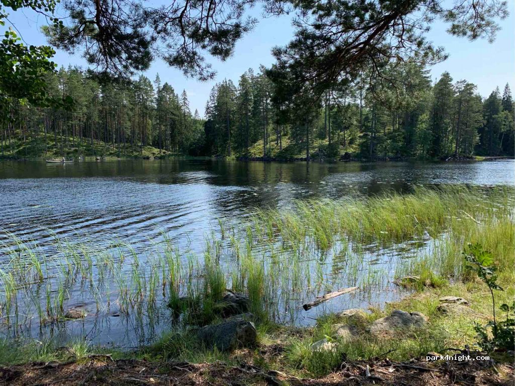 (695 96) Bosjön - Unnamed Road — foto 2