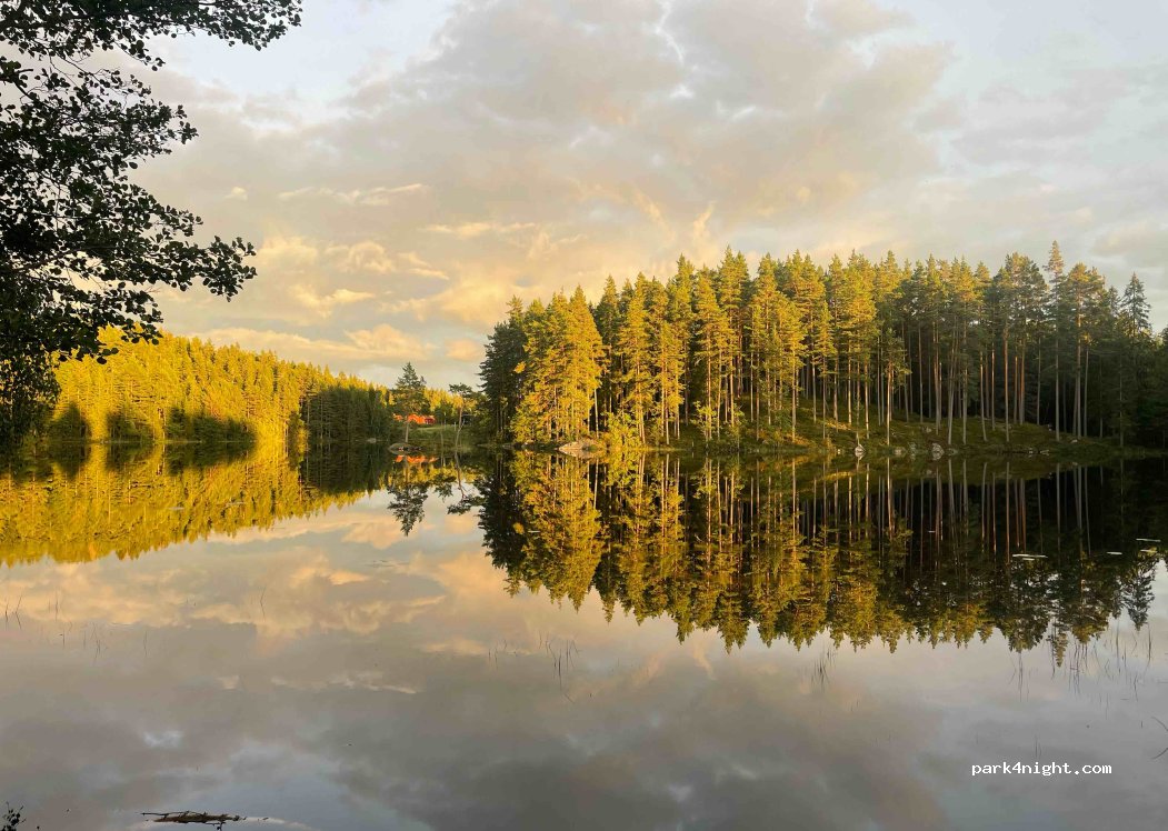 (695 96) Bosjön - Unnamed Road — foto 4