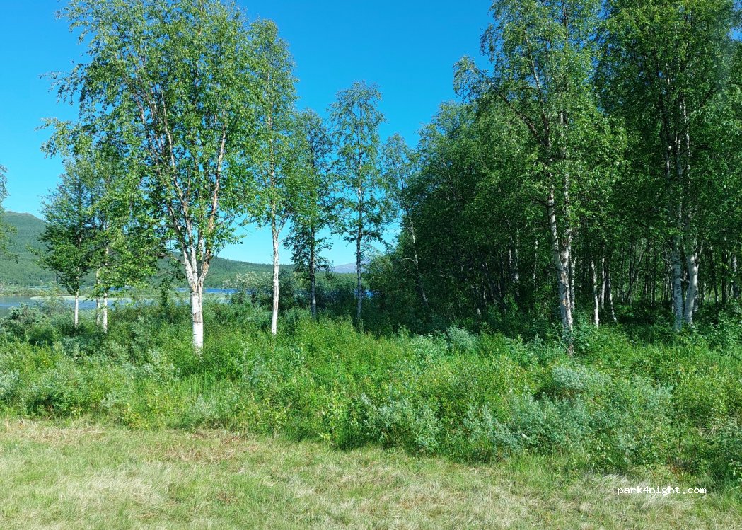(920 64) Tärnaby - Blå vägen — foto 3