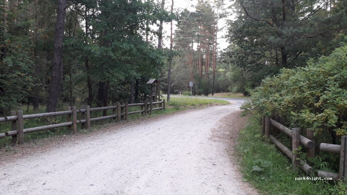 (77-200) Miastko - Droga Wojewódzka 206 — foto