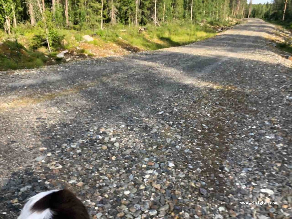 (833 98) Gäddede - Unnamed Road — foto
