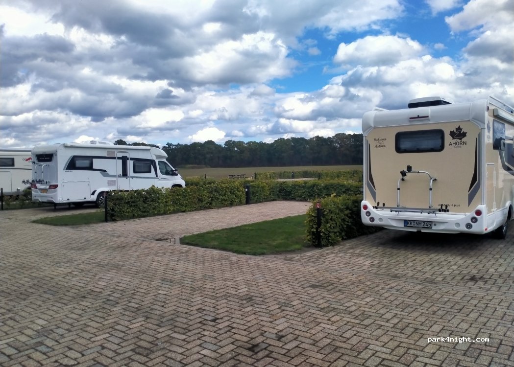 (5066 CR) Moergestel - 8 Heikant — foto 5