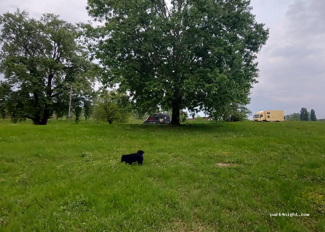 Public River Beach — foto 3