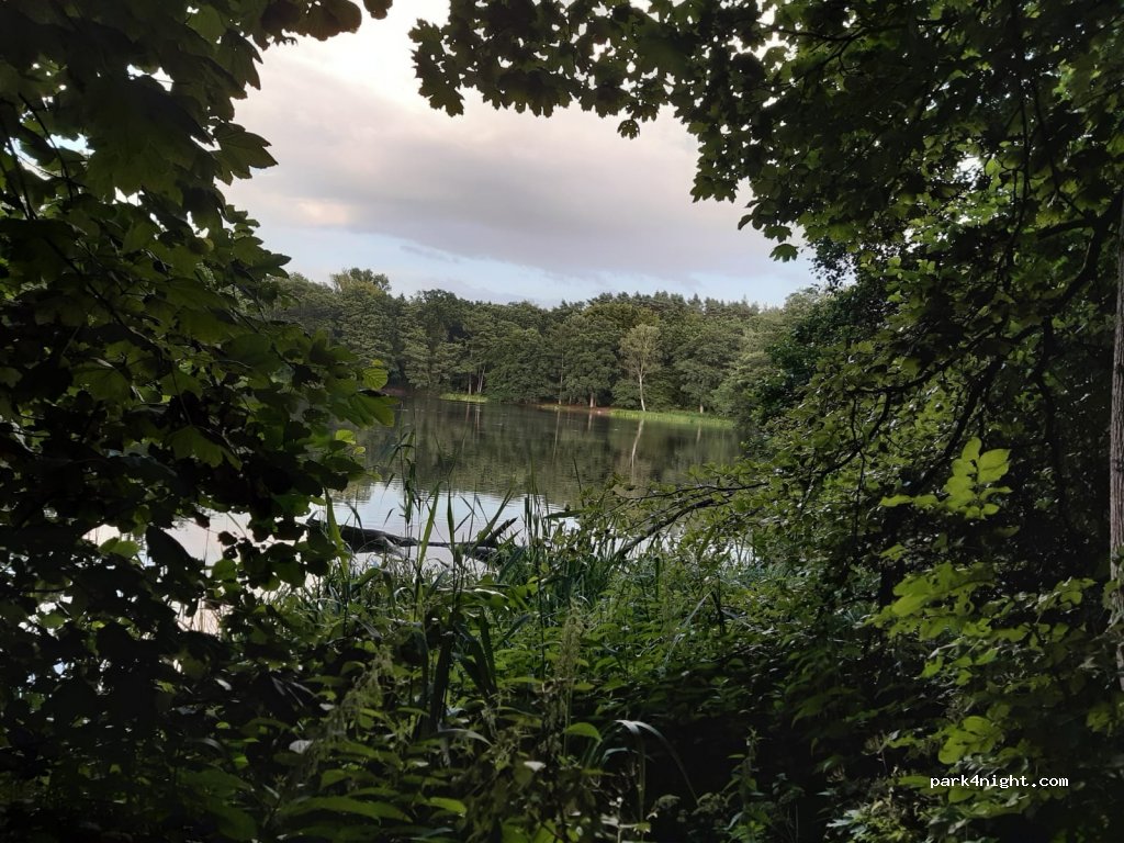 Parkplatz am Manhagener Teich — foto
