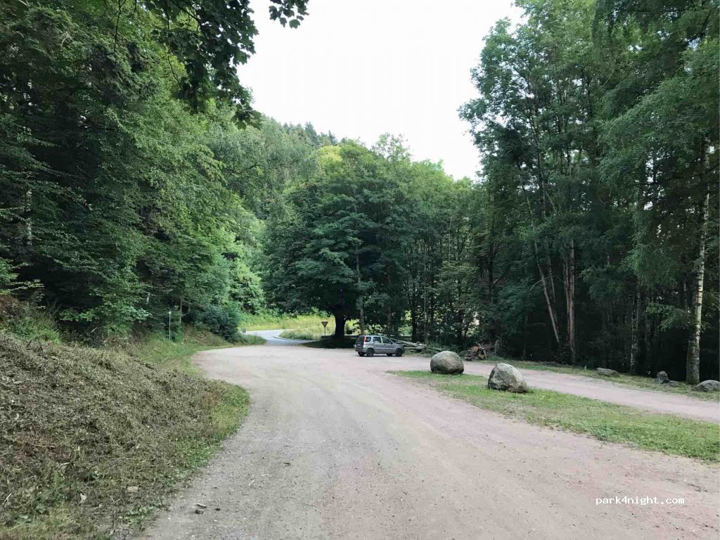 (79263) Simonswald - L173 — foto 2
