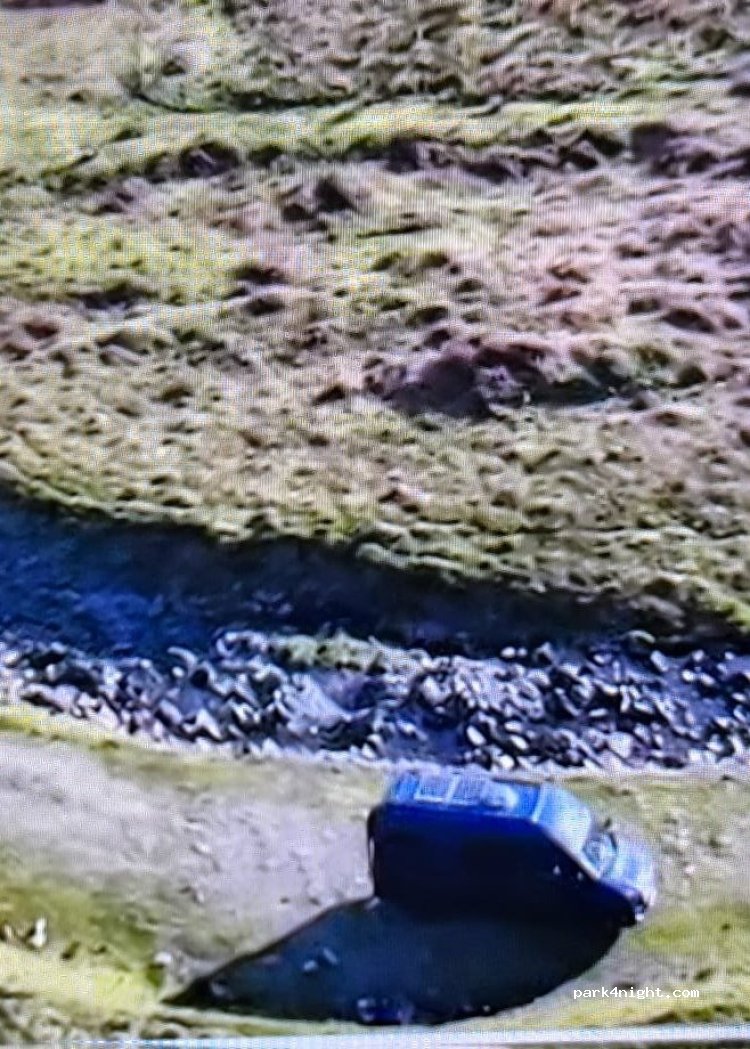 (DG10 9LH) - Polmoodyburn Bridge — foto 5