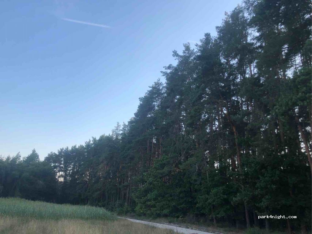 (91183) Abenberg - Unnamed Road — foto 2