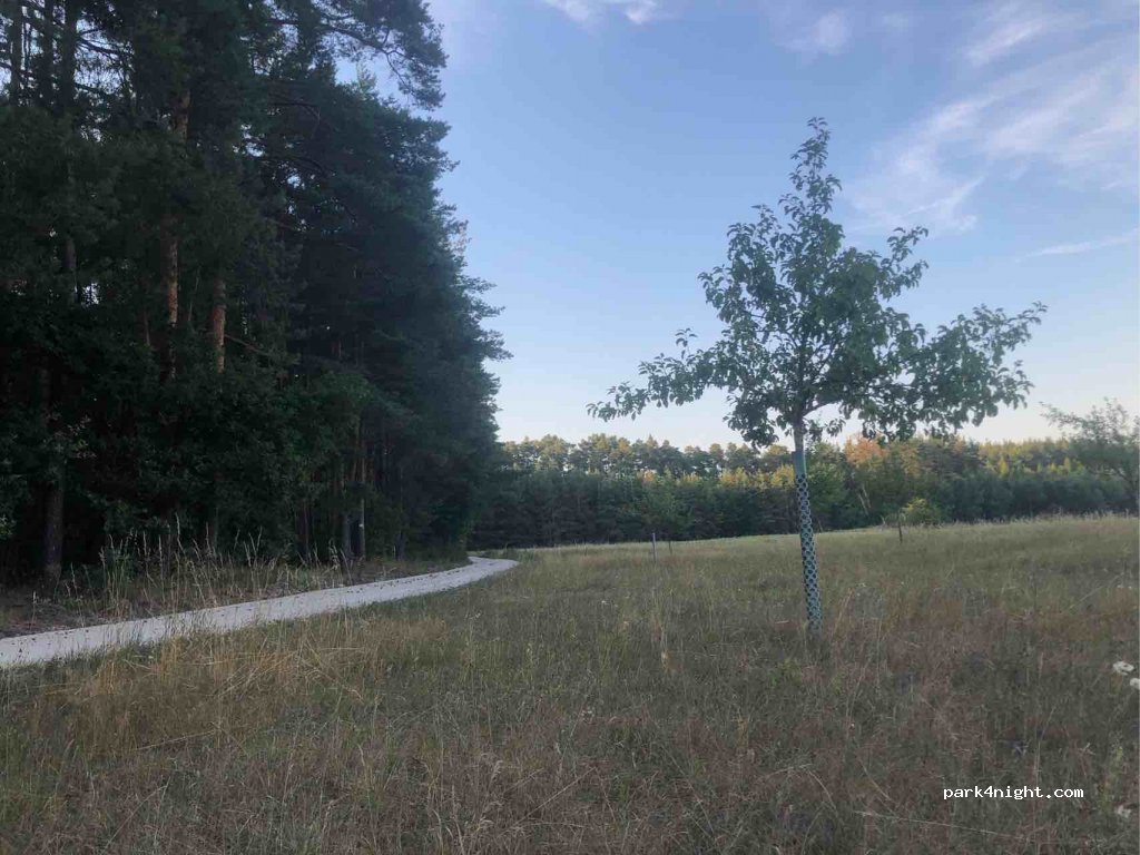 (91183) Abenberg - Unnamed Road — foto 3
