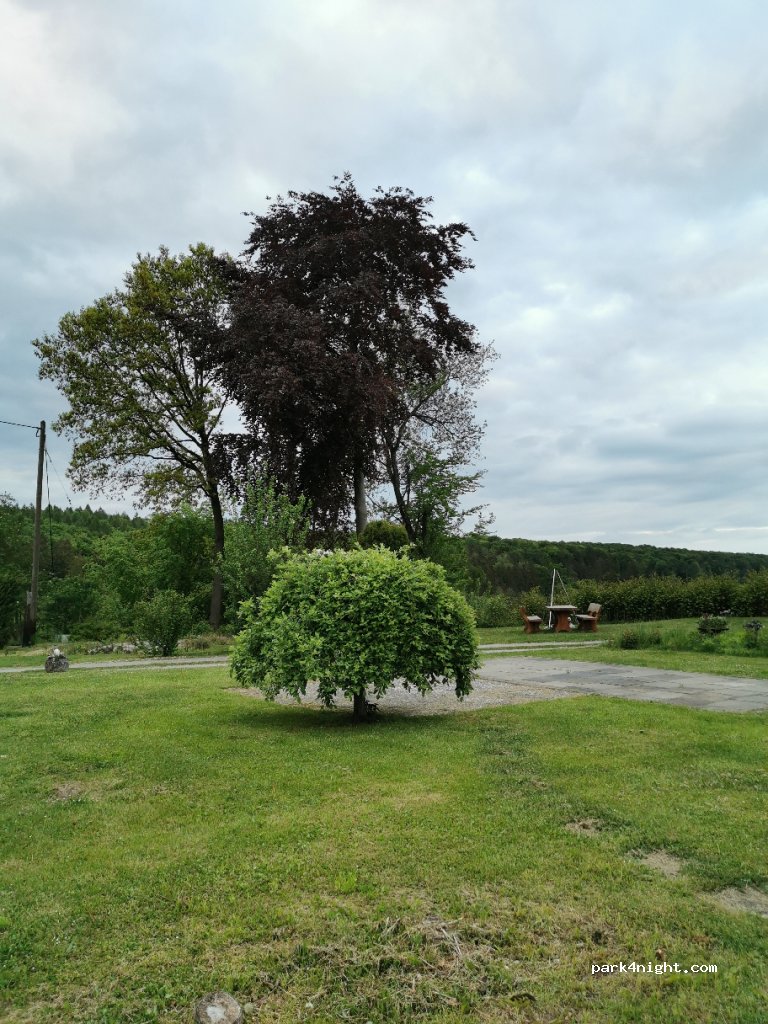 Camping - Heber Baude — foto