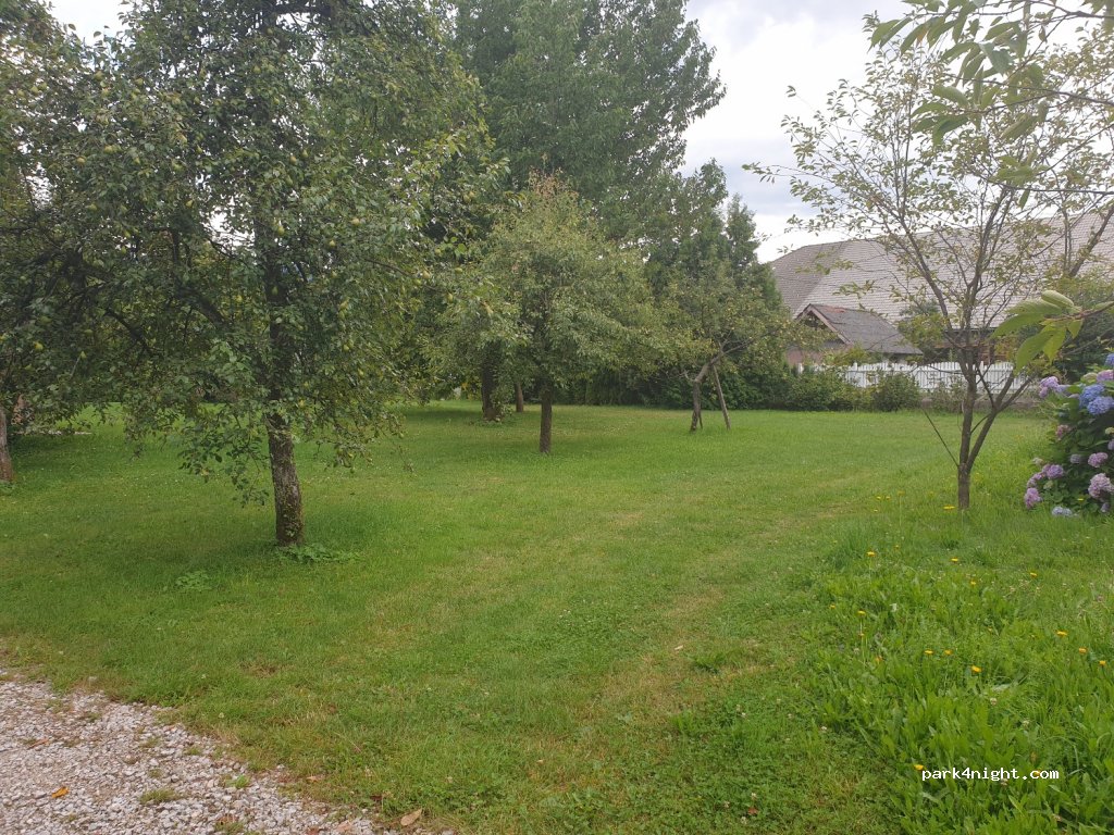 Camp Hribar — foto