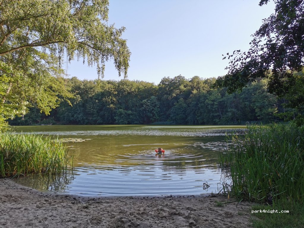 (16775) Sonnenberg - 2 Forstweg — foto 2