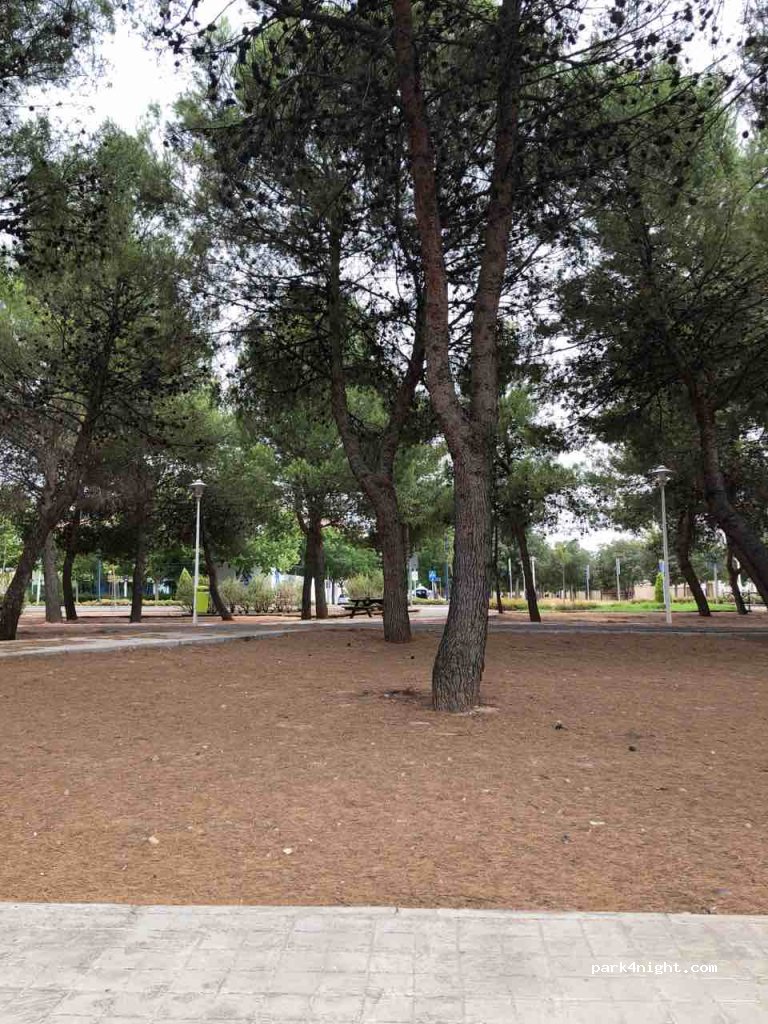 (13005) Ciudad Real - 6B Calle Tomelloso — foto