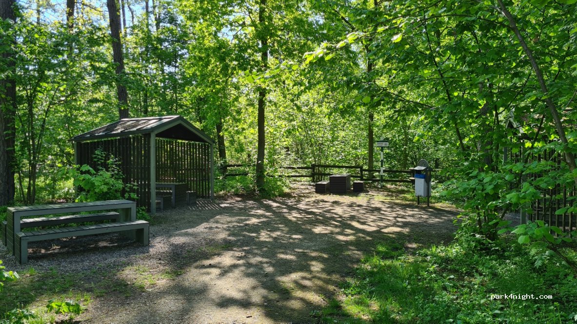 (05-532) Chojnów - Gościniec Warecki — foto 4