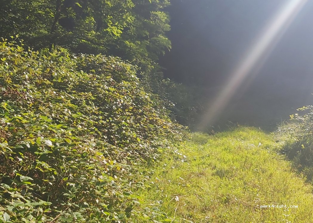(67310) Balbronn - Unnamed Road — foto 3