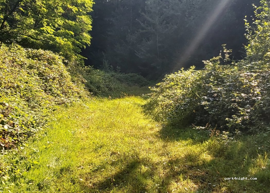 (67310) Balbronn - Unnamed Road — foto 4