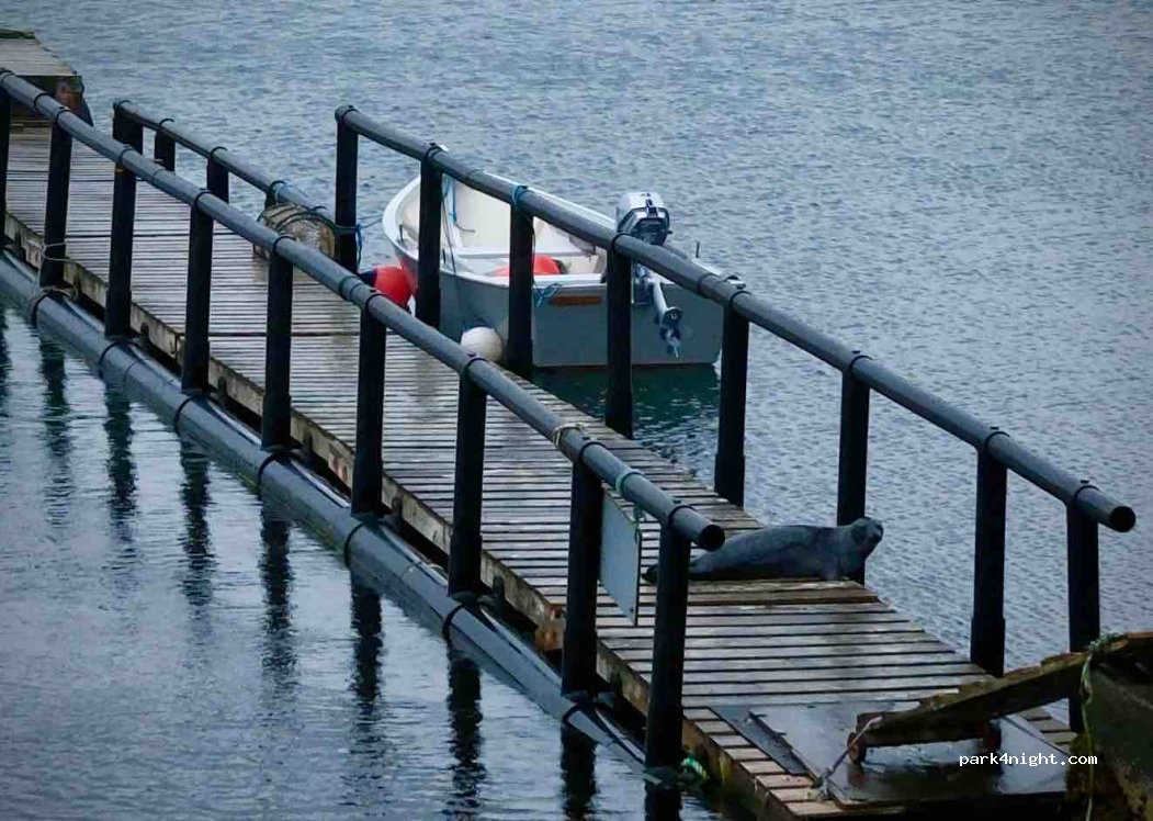 (ZE2 9PL)  - Unnamed Road — foto 4