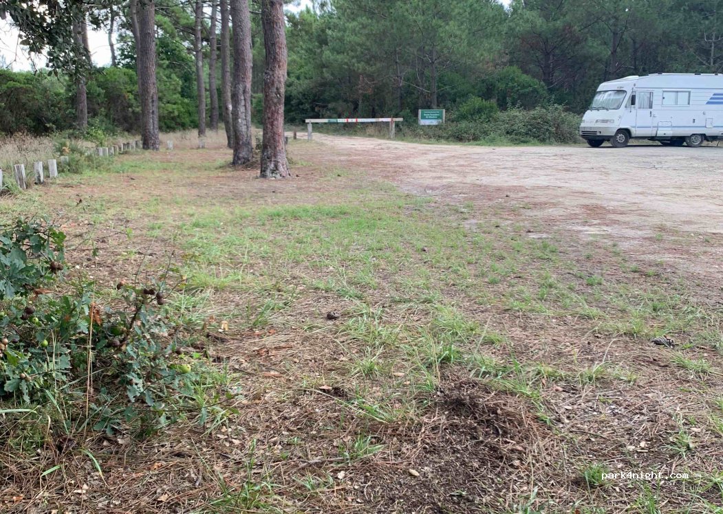 (33260) La Teste-de-Buch - Route d'Arcachon À Biscarrosse — foto