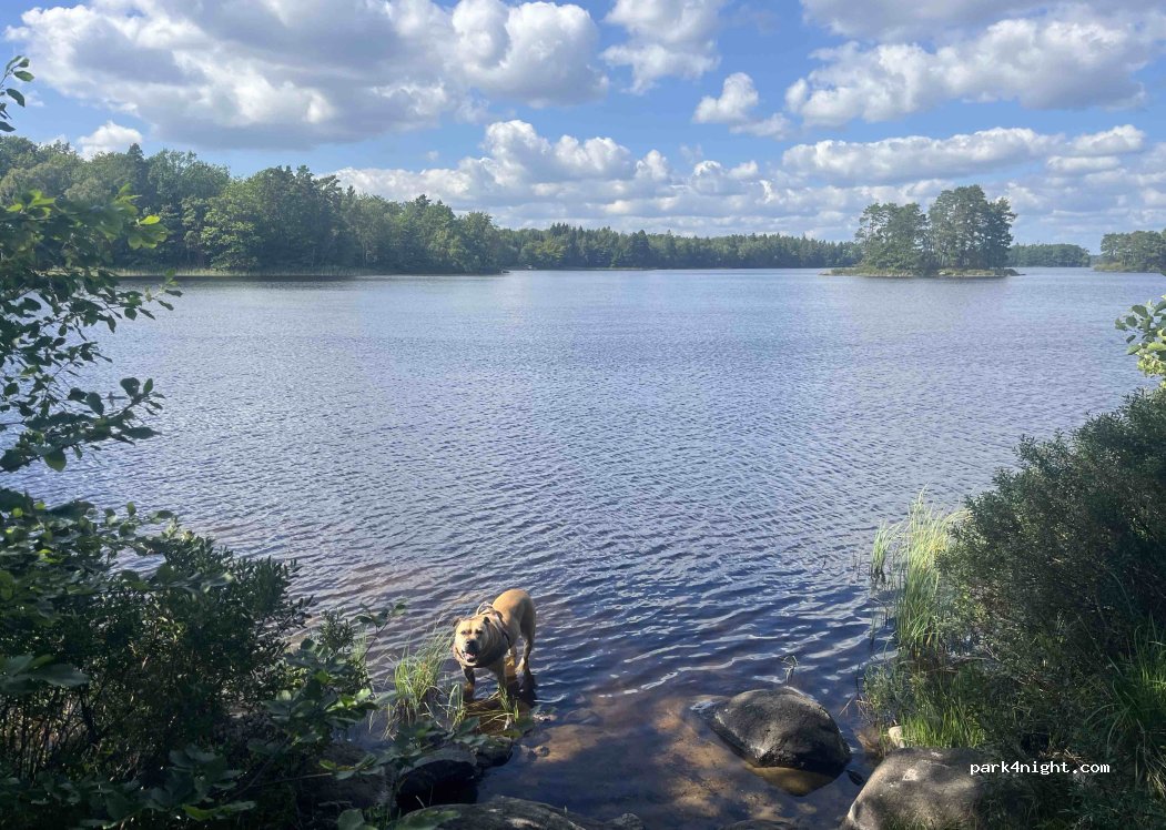 (290 37) Arkelstorp - Mjönäsvägen — foto 5