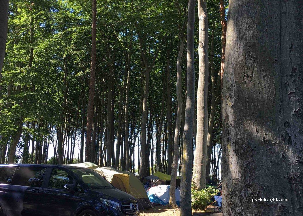 Ostseecamp Ferienpark Graal-Müritz — foto 2