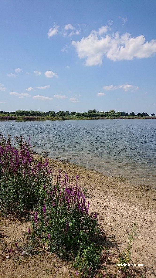 (7384) Wilp - Unnamed Road — foto 2